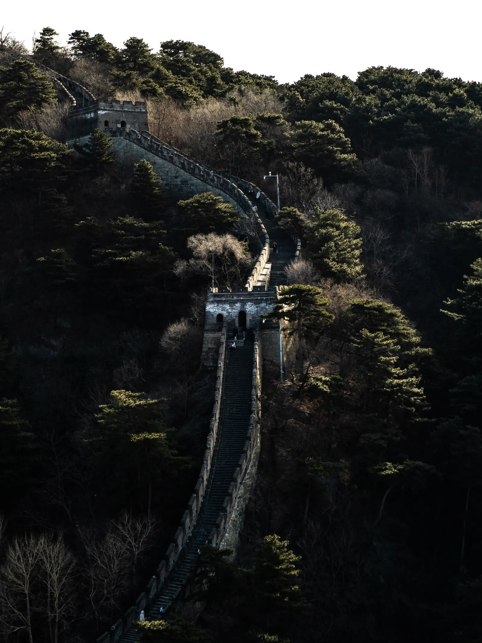 Fotografía 16 de 49, de Alexander Frings