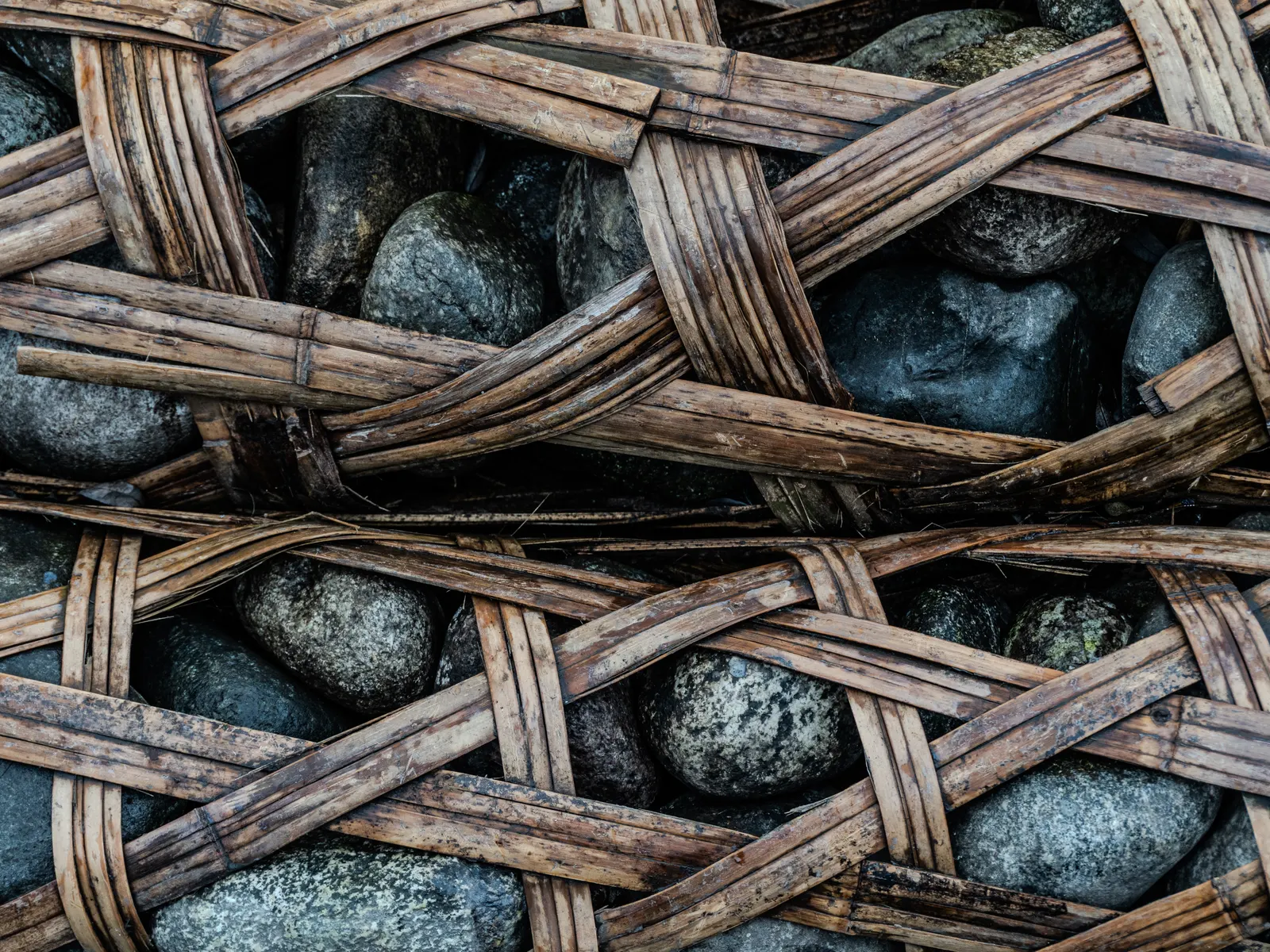 Fotografía 30 de 49, de Alexander Frings