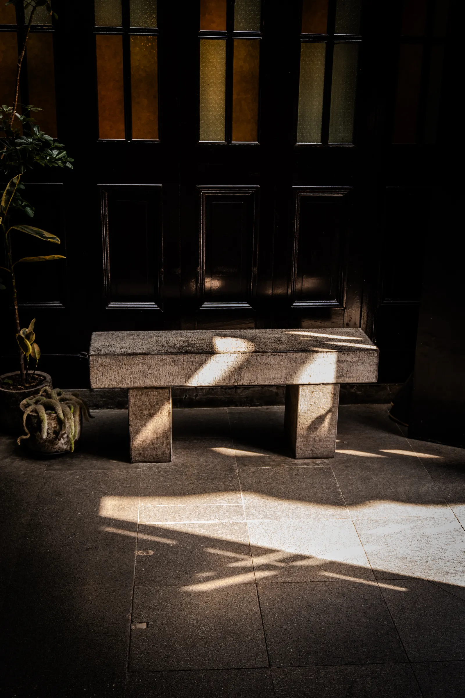 Fotografía 43 de 49, de Alexander Frings