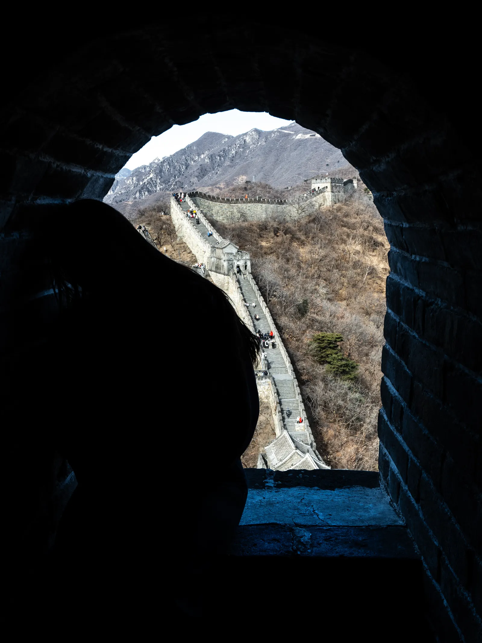 Fotografía 49 de 49, de Alexander Frings