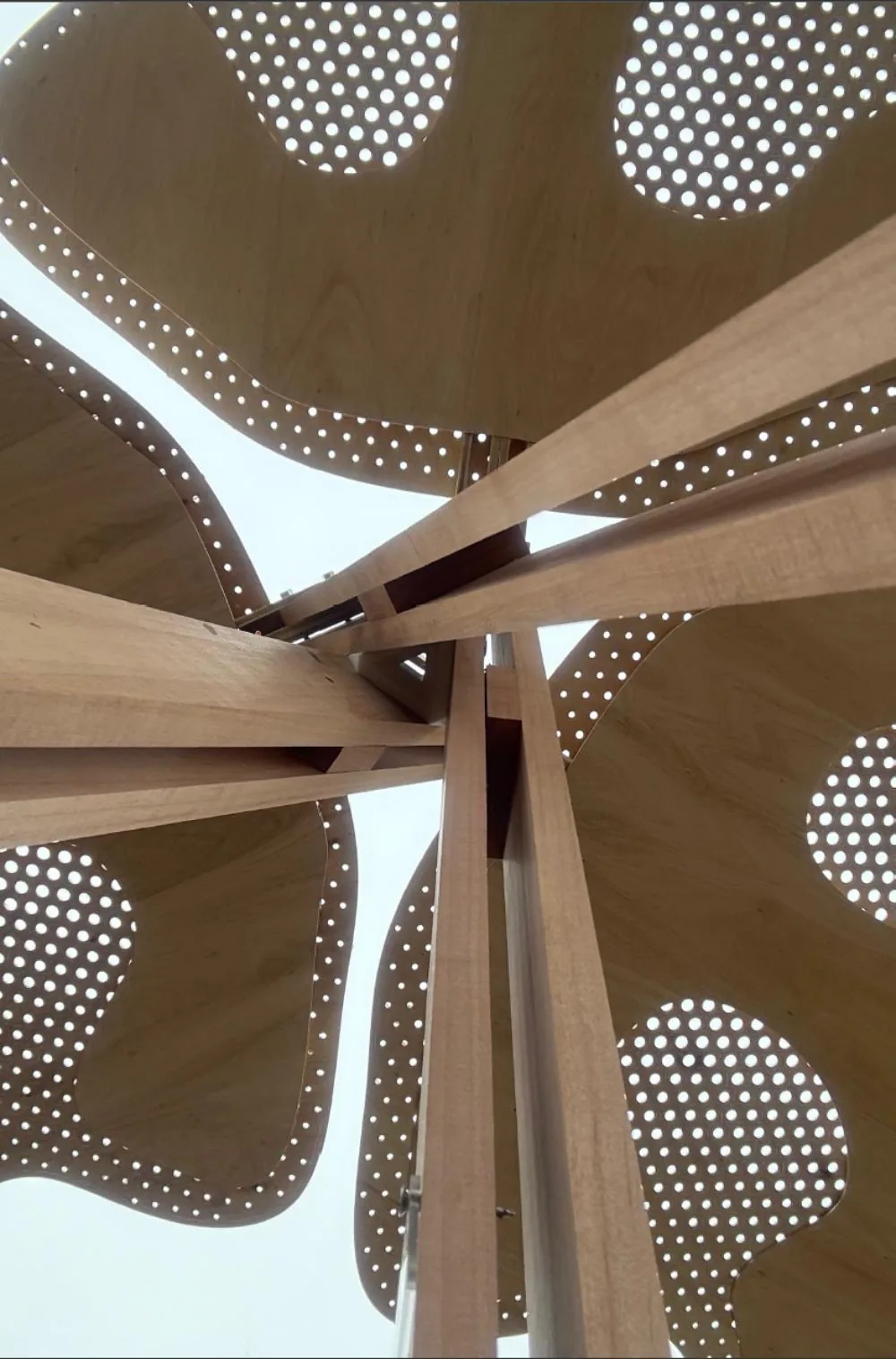 Imagen del proyecto Estructura Perforada de Madera